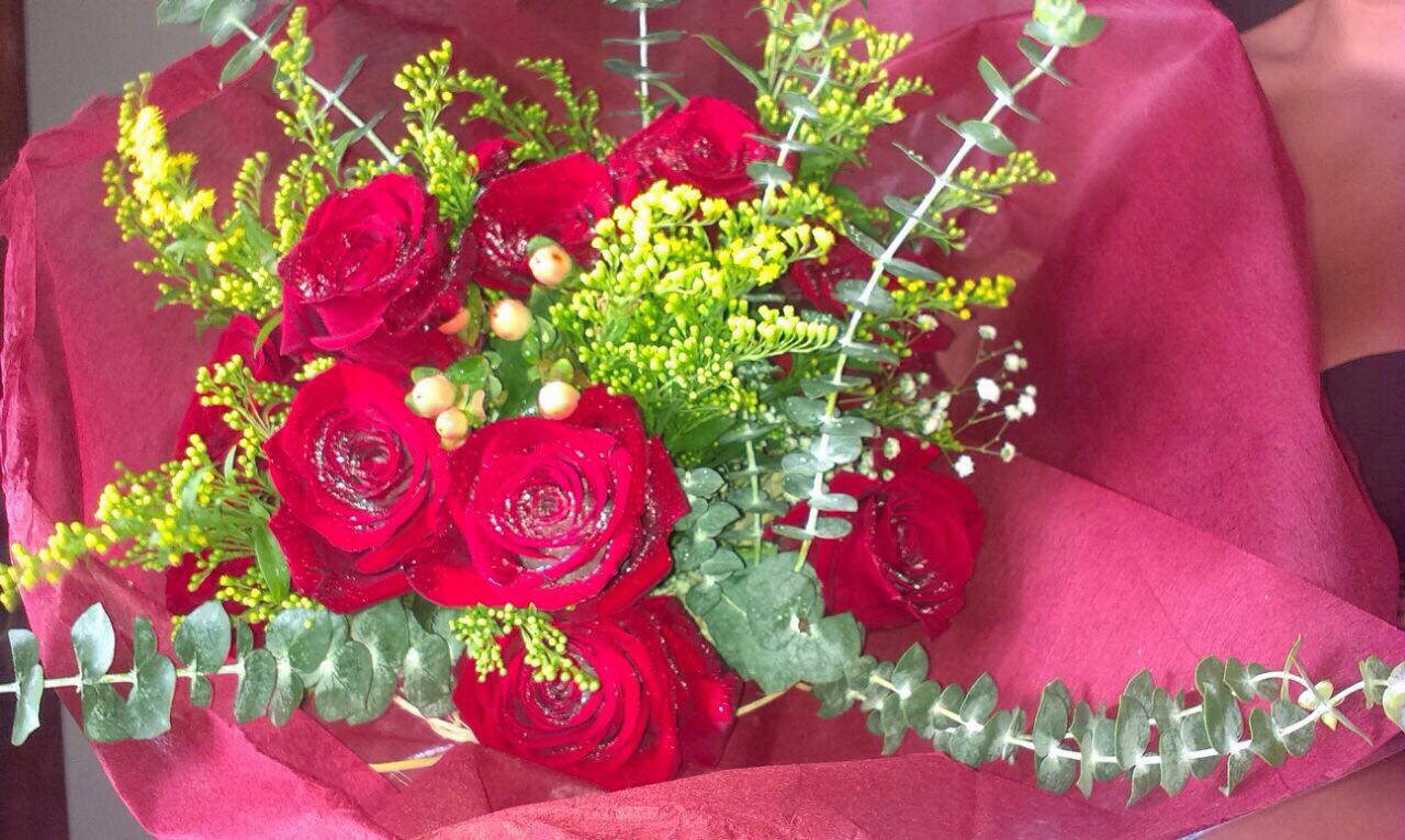 De rojo solidago